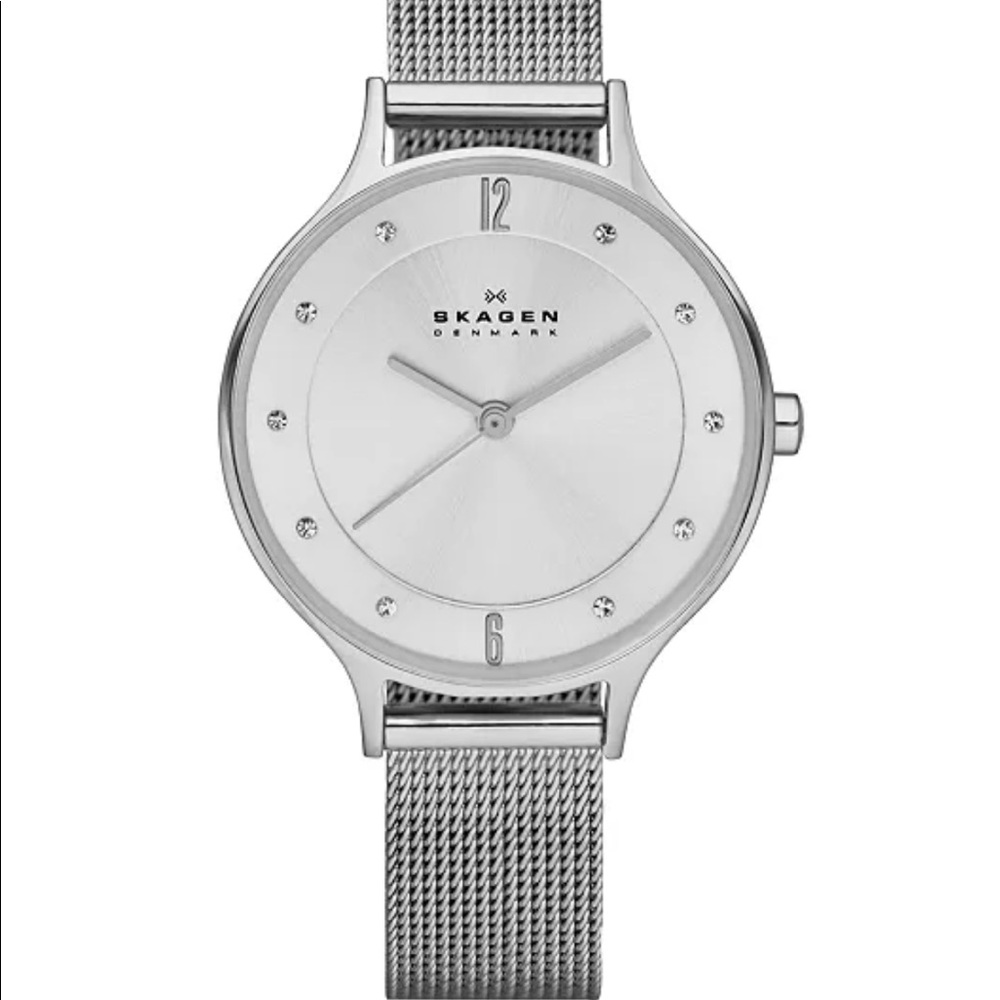 Womens Skagen Anita mesh stainless steel watch